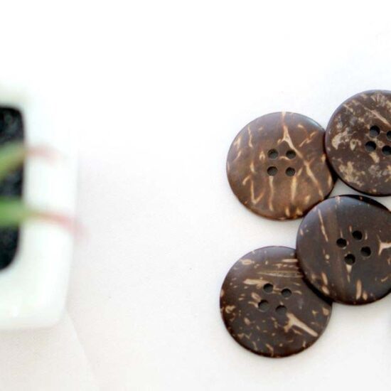 Coconut Shell Button