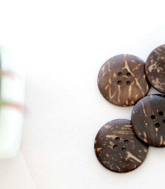 Coconut Shell Button