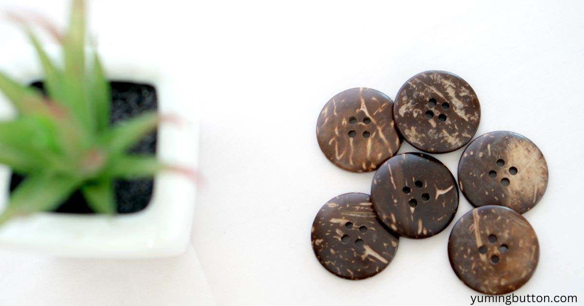 Coconut Shell Button