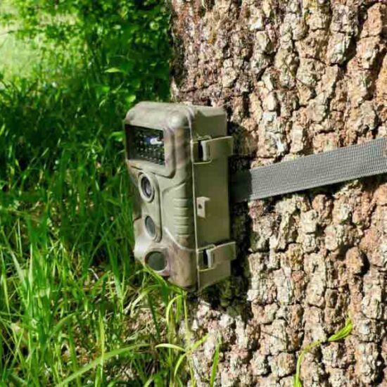 Best Trail Camera