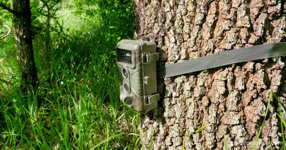 Best Trail Camera