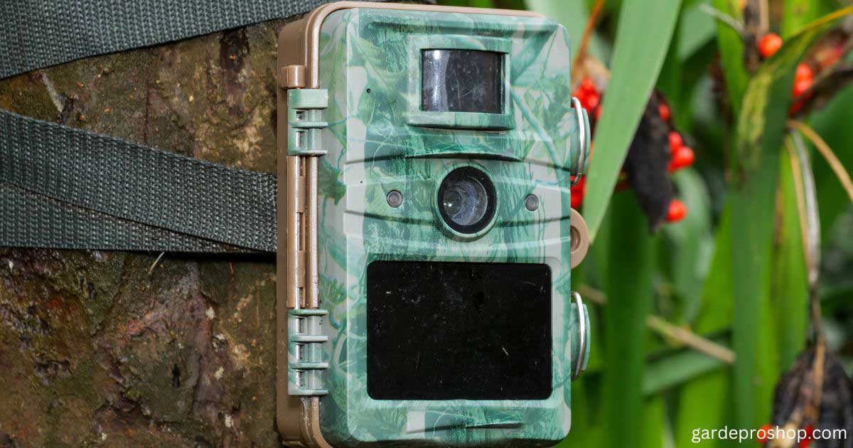 Best Trail Camera